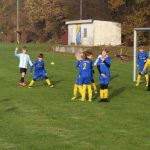2019_11_17-FCSU SV Jersbek F-Jugend (3)